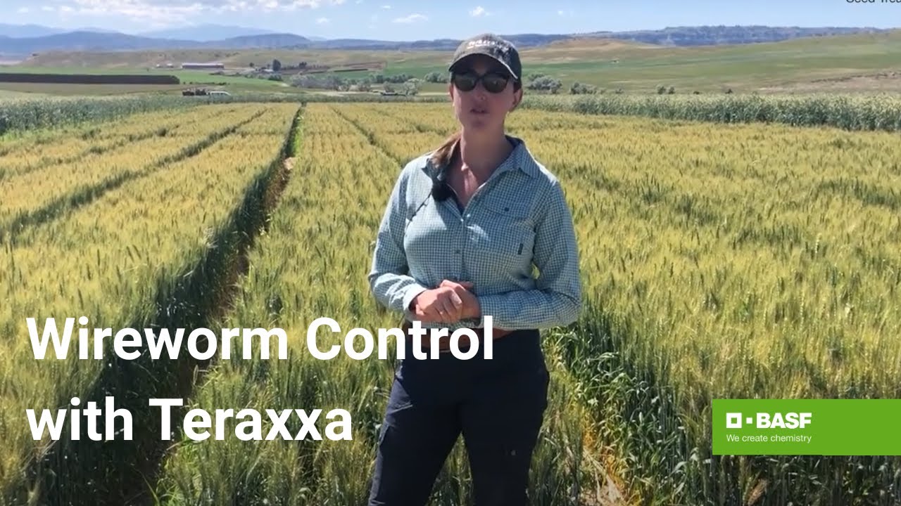 Reddy Anna ID: A Comprehensive Overview of Its Impact, Features, and Community Initiatives